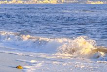 戴燕妮個人資料-戴燕妮新劇《少年歌行》殺青，她在劇中飾演的是什么角色？-大智網匯